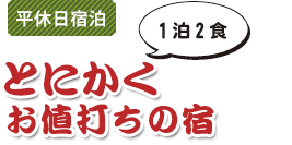 平休日宿泊　とにかくお値打ちの宿　1泊2食