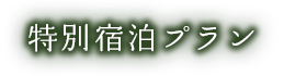 特別宿泊プラン