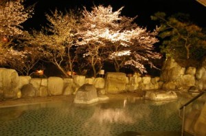 下呂温泉望川館夜桜露天風呂