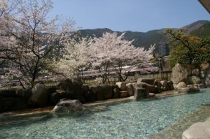 下呂温泉望川館お花見露天風呂